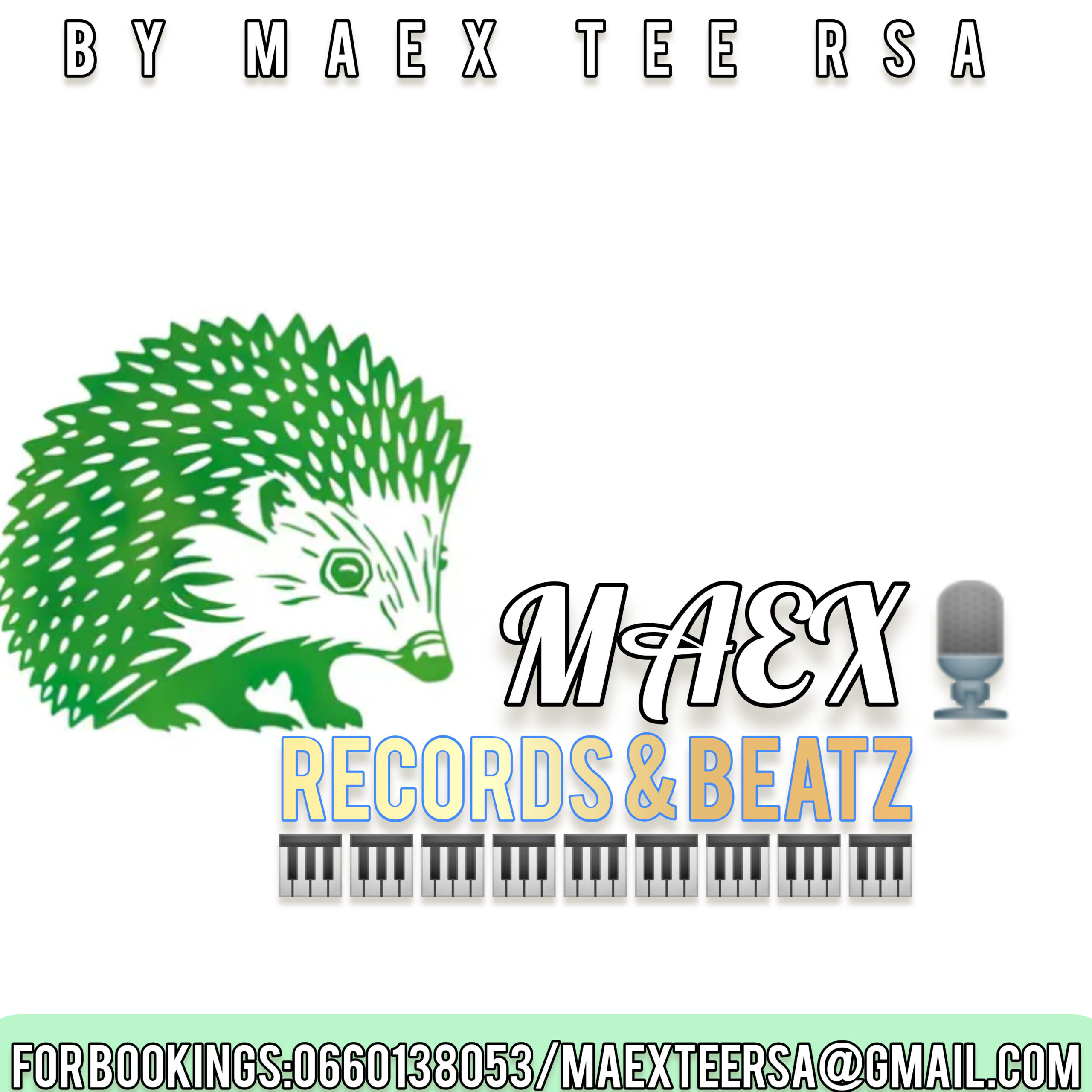 Amapiano_Demo_by_Maex Tee RSA